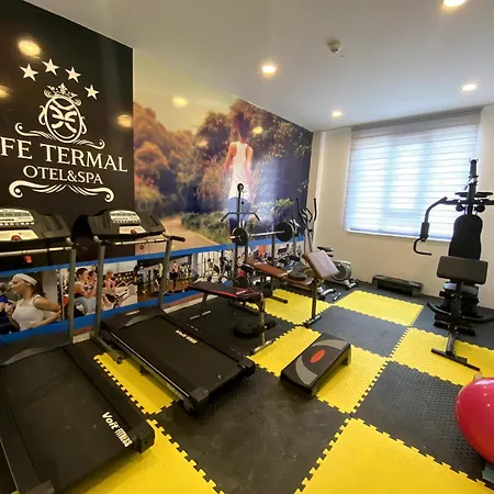 Hotel Efe Termal 4*