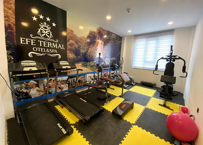 Hotel Efe Termal 4*