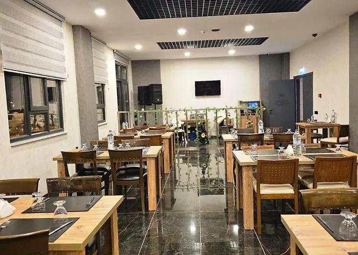 Efe Termal Hotel Kütahya